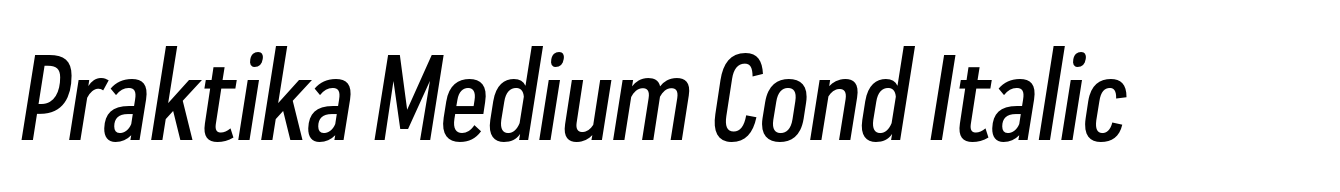 Praktika Medium Cond Italic